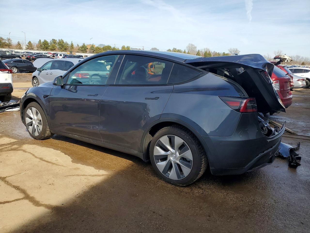 2023 Tesla Model Y - Фото 2