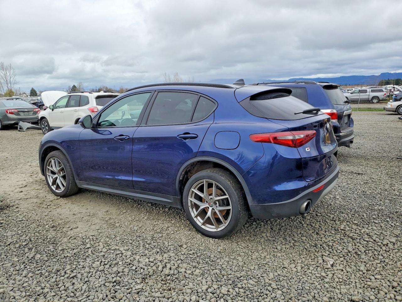 2018 Alfa Romeo Stelvio Ti Sport - Фото 2