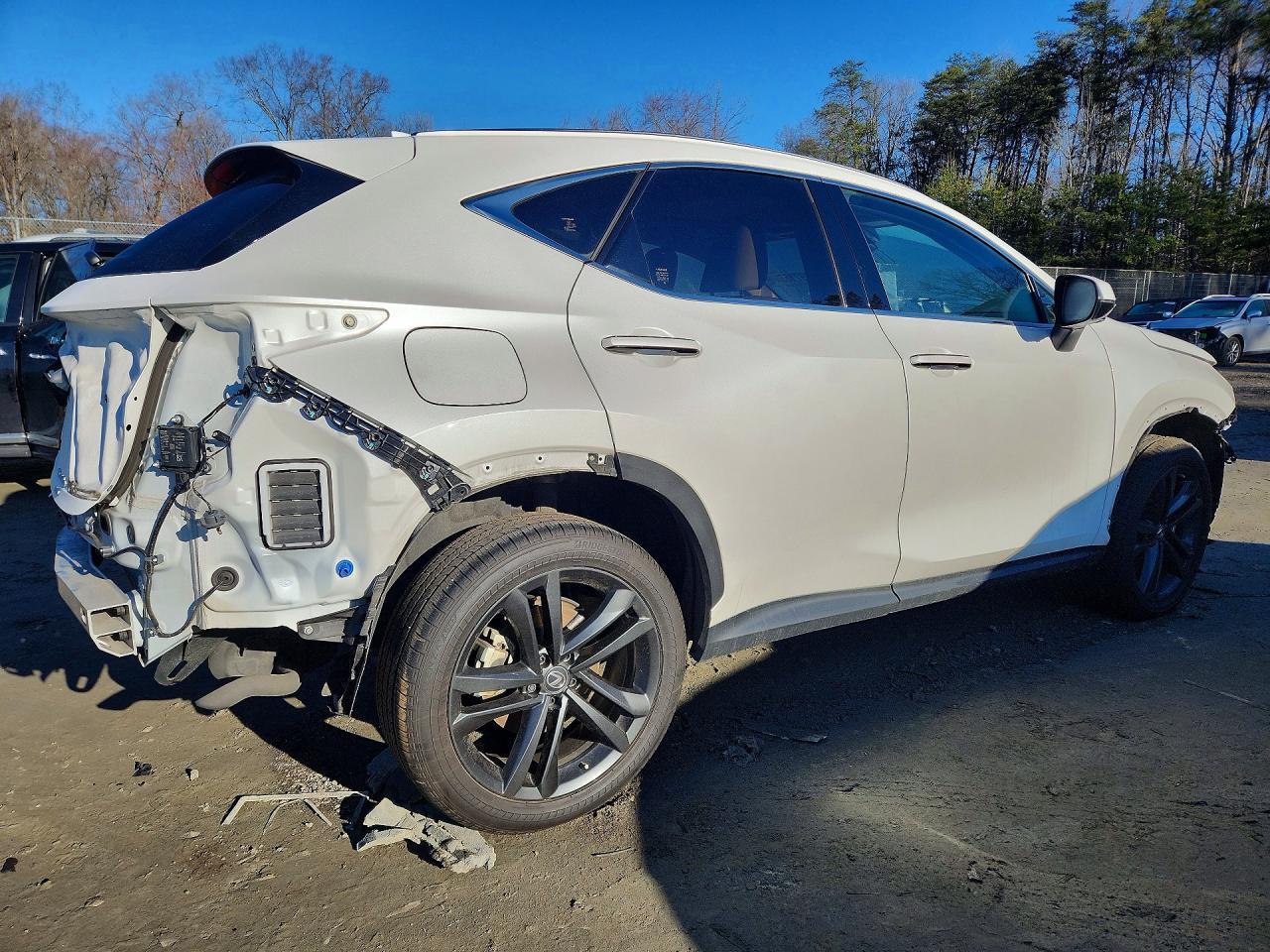 2022 Lexus Nx 450H+ Base - Фото 3