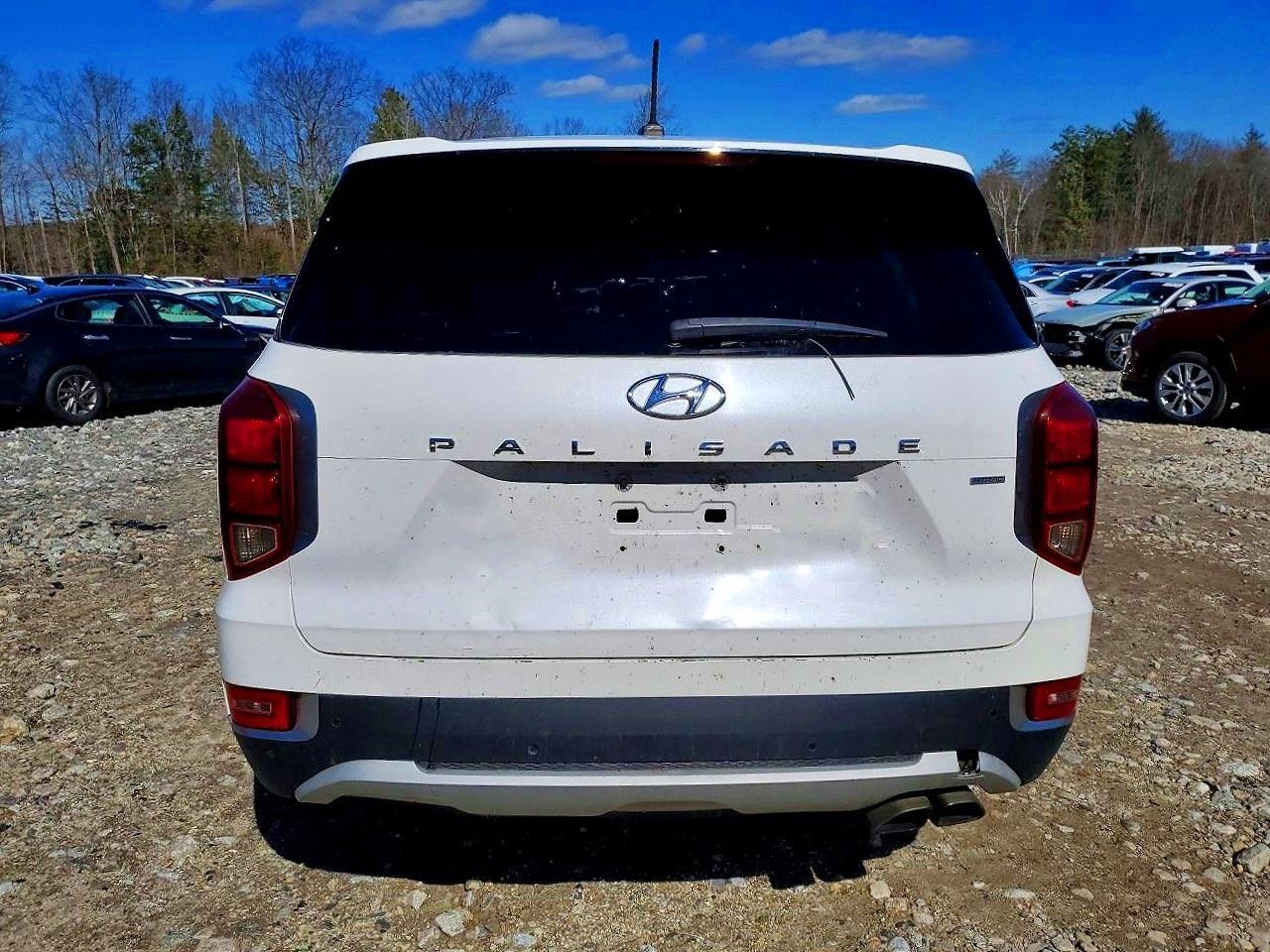 2021 Hyundai Palisade Se - Фото 6