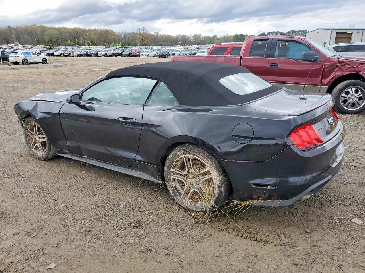 2019 Ford Mustang - Image 2