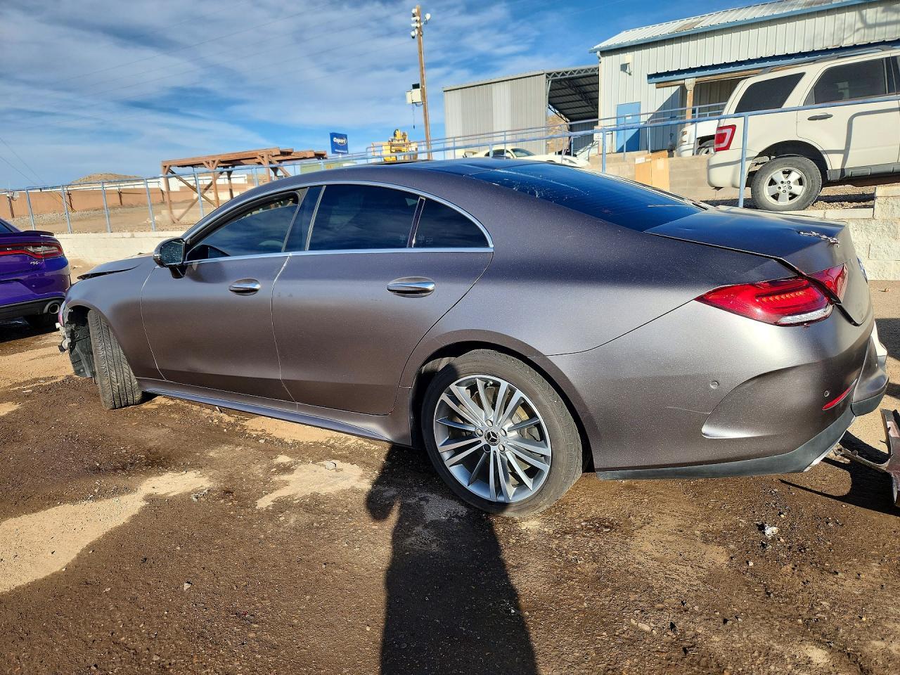 2019 Mercedes-Benz Cls 450 4Matic - Фото 2