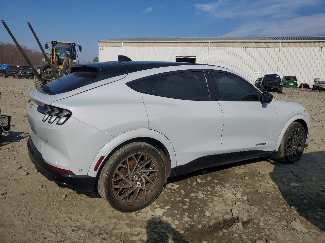 2021 Ford Mustang Mach-E Gt - Фото 3