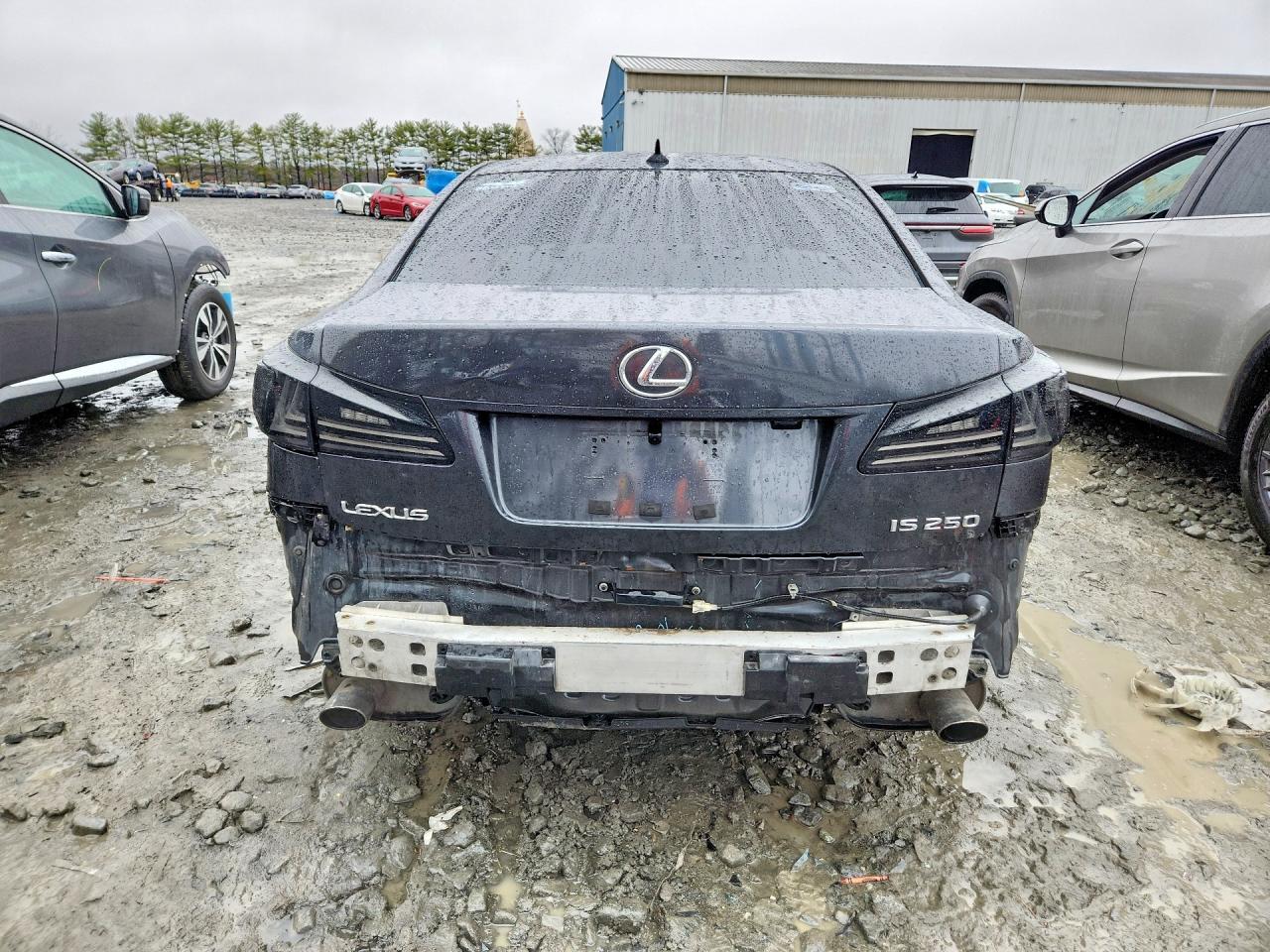 2009 Lexus Is 250 Base - Image 6