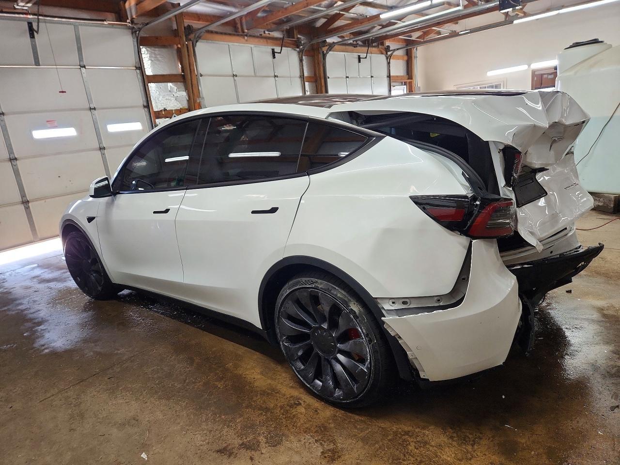 2022 Tesla Model Y - Фото 2