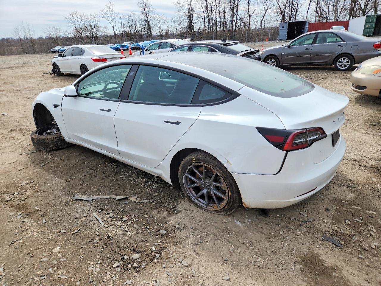 2023 Tesla Model 3 - Фото 2