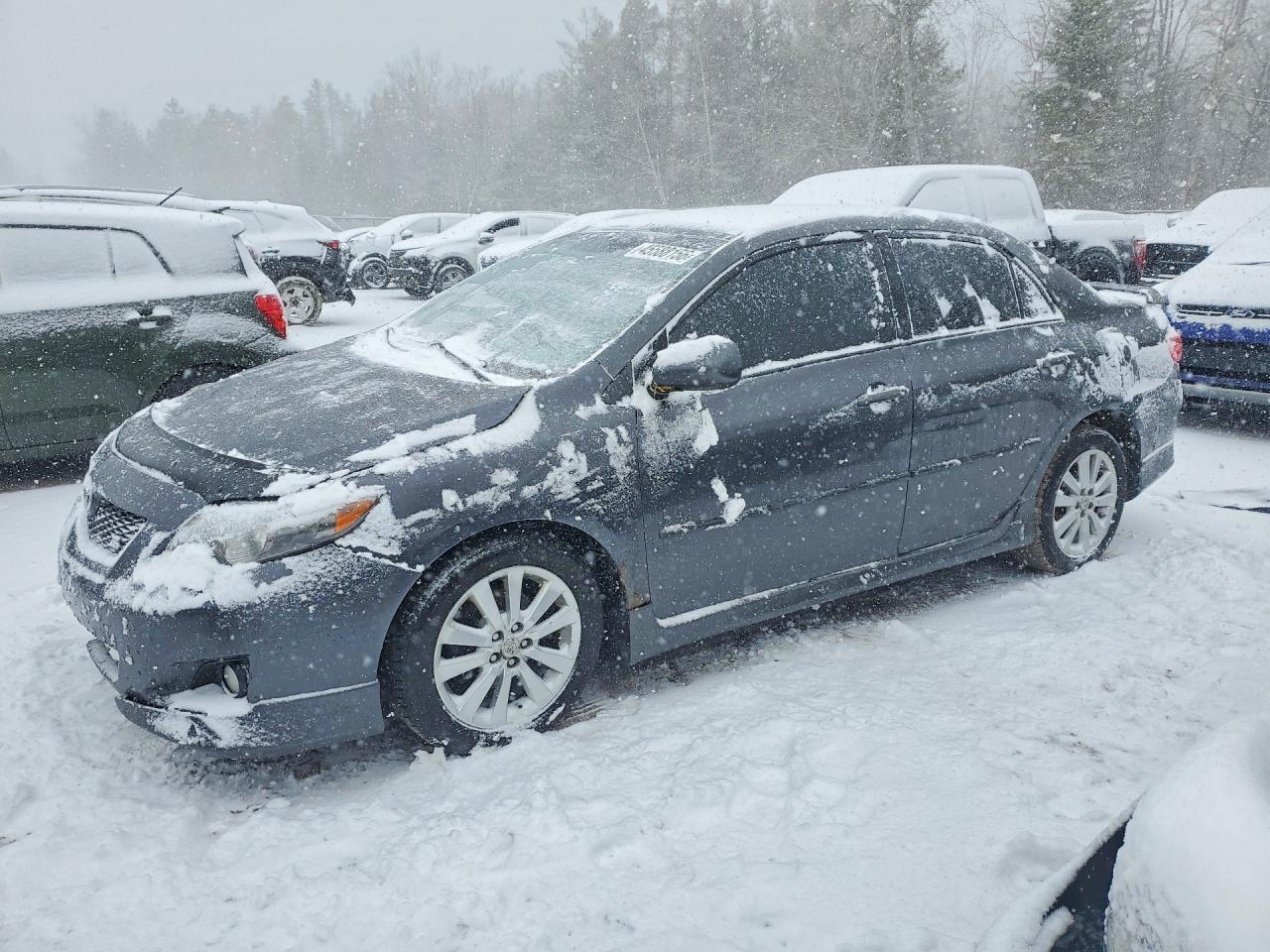 2010 Toyota Corolla Base