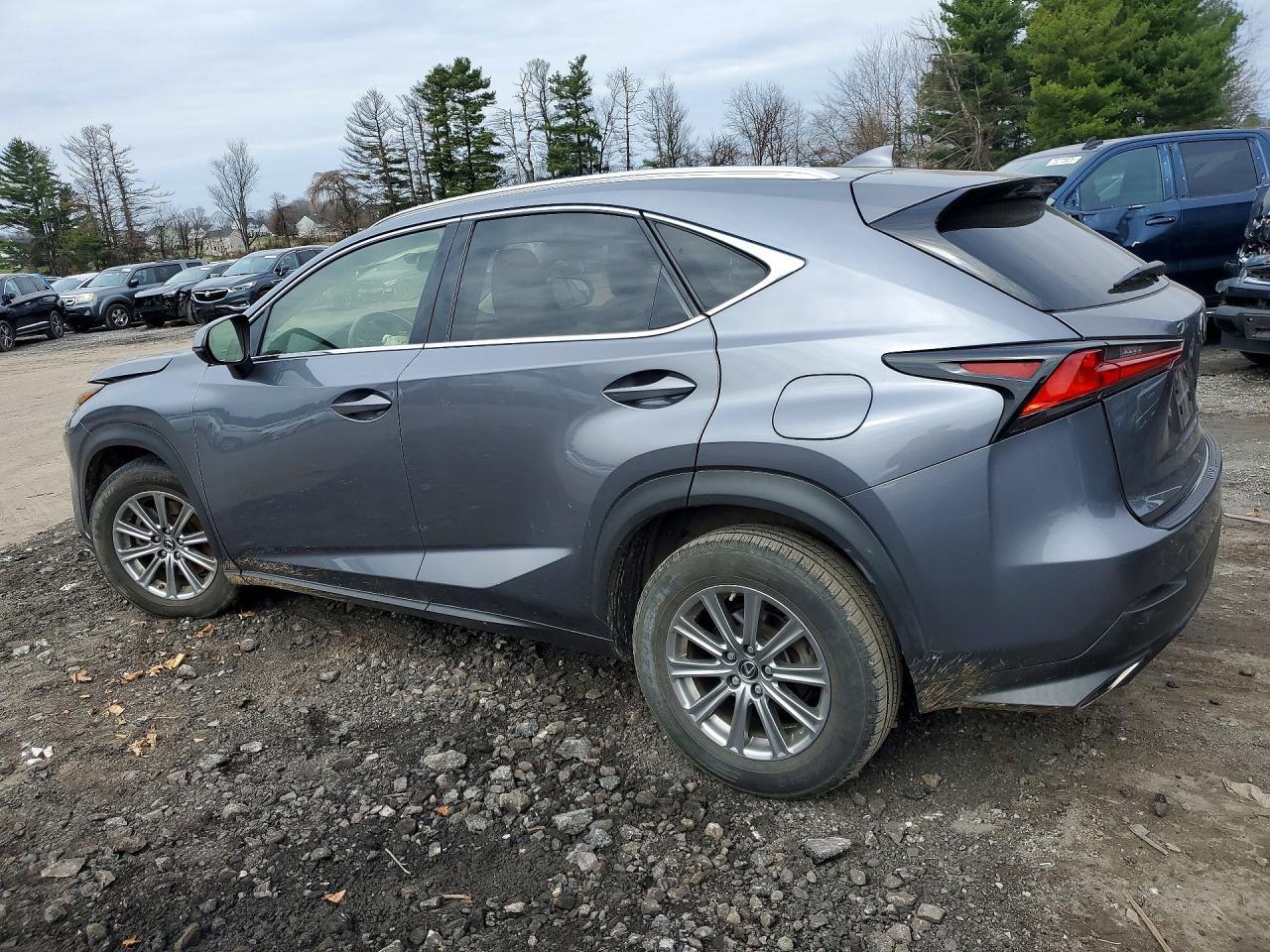 2021 Lexus Nx 300 Base - Фото 2