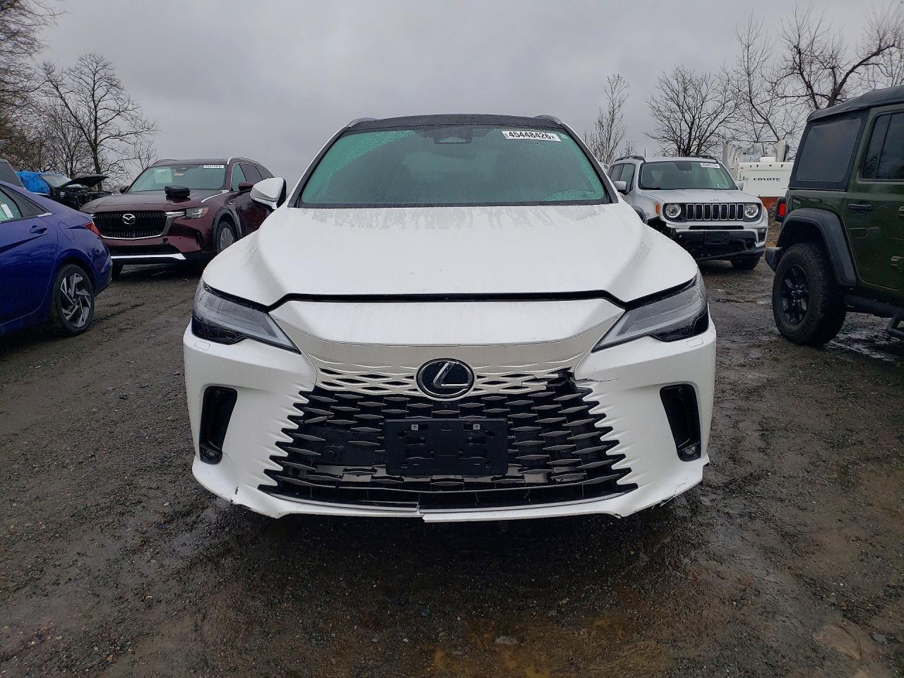 2024 Lexus Rx 350H Luxury - Фото 5