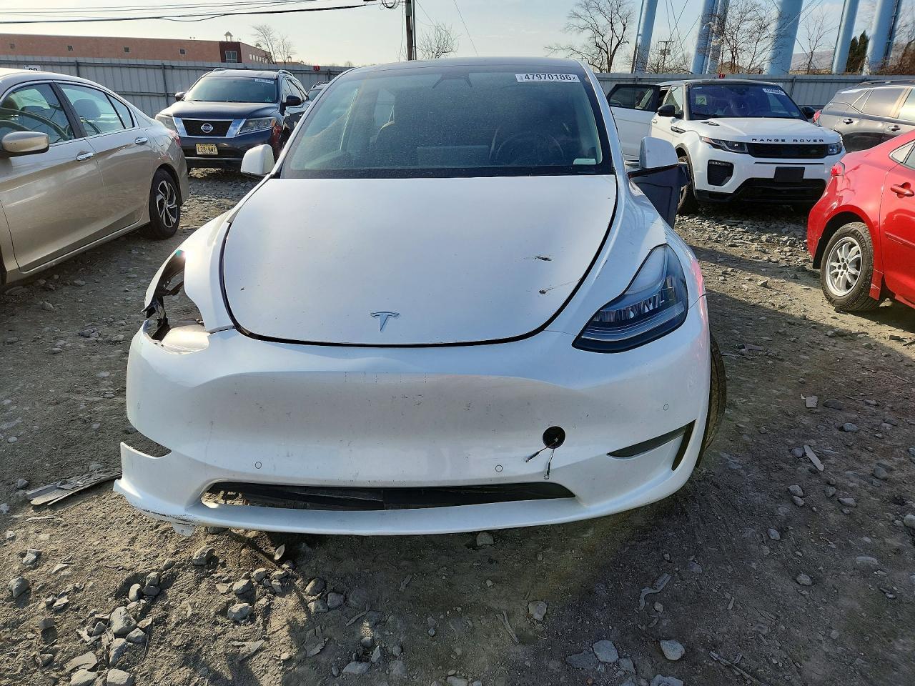 2021 Tesla Model Y - Фото 5