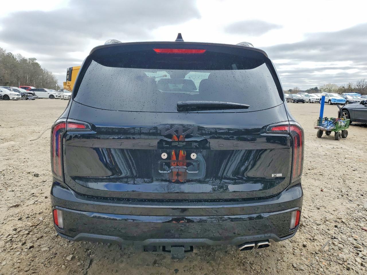 2025 Kia Telluride Sx X-Line - Фото 6