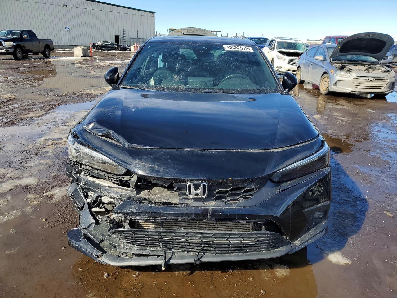 2024 Honda Civic Sport Touring - Image 5