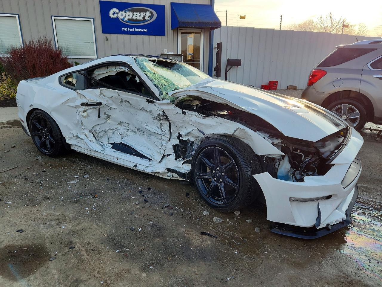 2019 Ford Mustang - Image 4