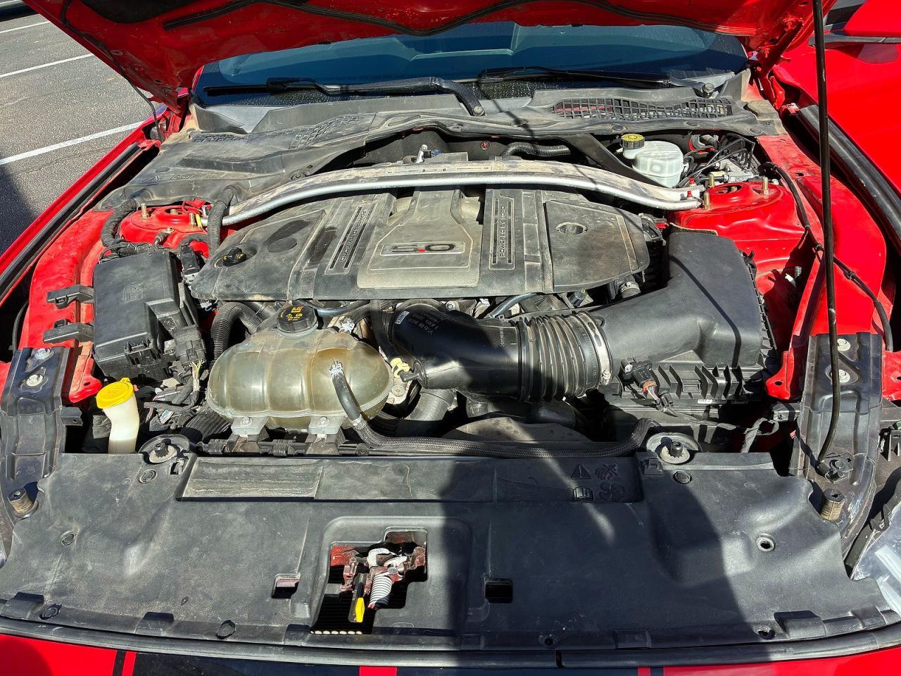 2019 Ford Mustang Gt - Image 7