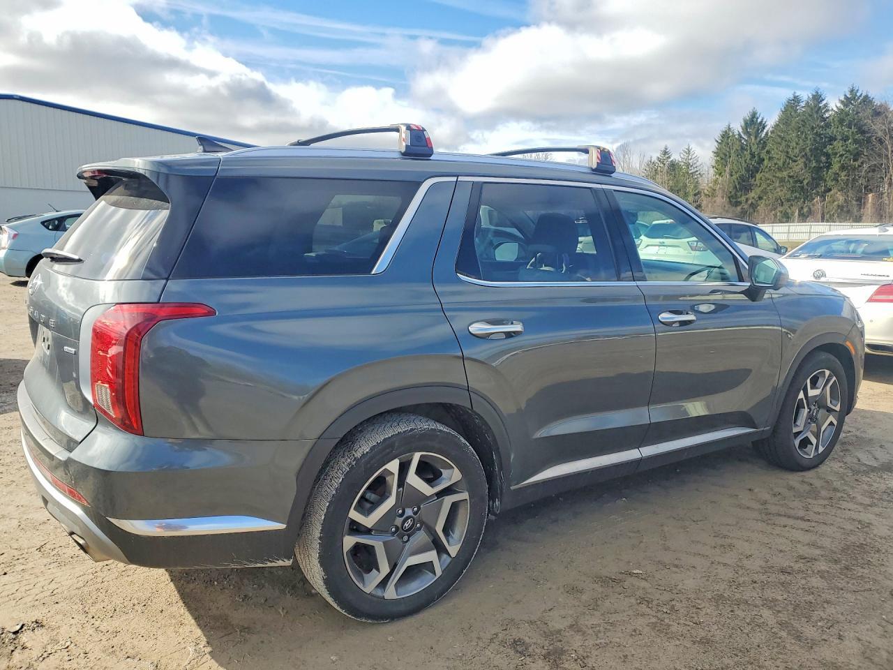 2023 Hyundai Palisade Limited - Фото 3