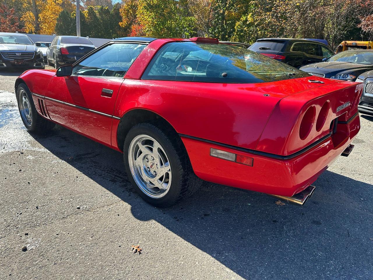 1990 Chevrolet Corvette - Фото 3