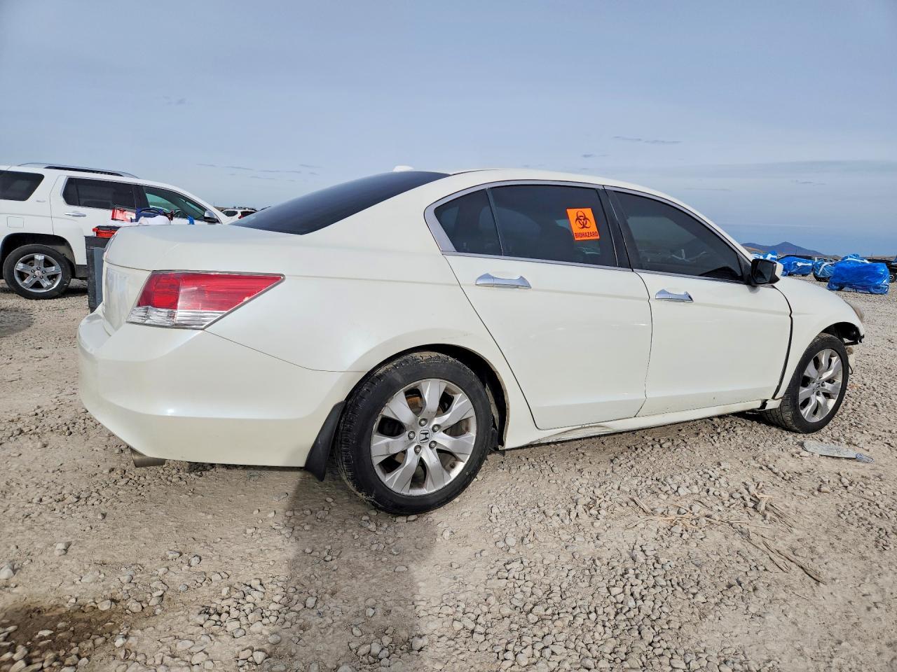 2008 Honda Accord Exl - Фото 3