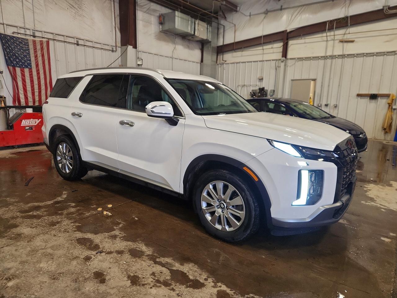 2024 Hyundai Palisade Sel - Фото 4