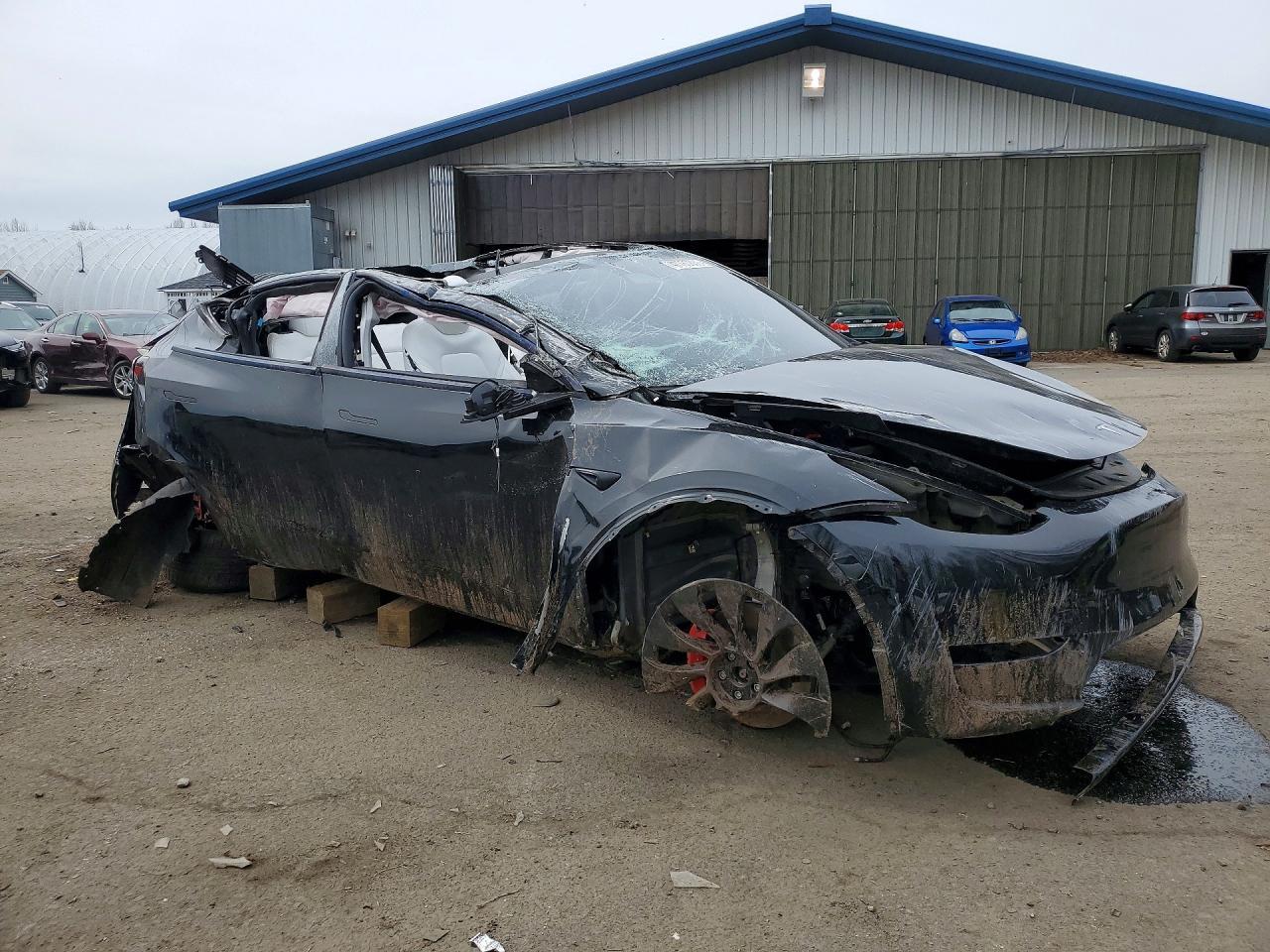 2024 Tesla Model Y - Фото 4