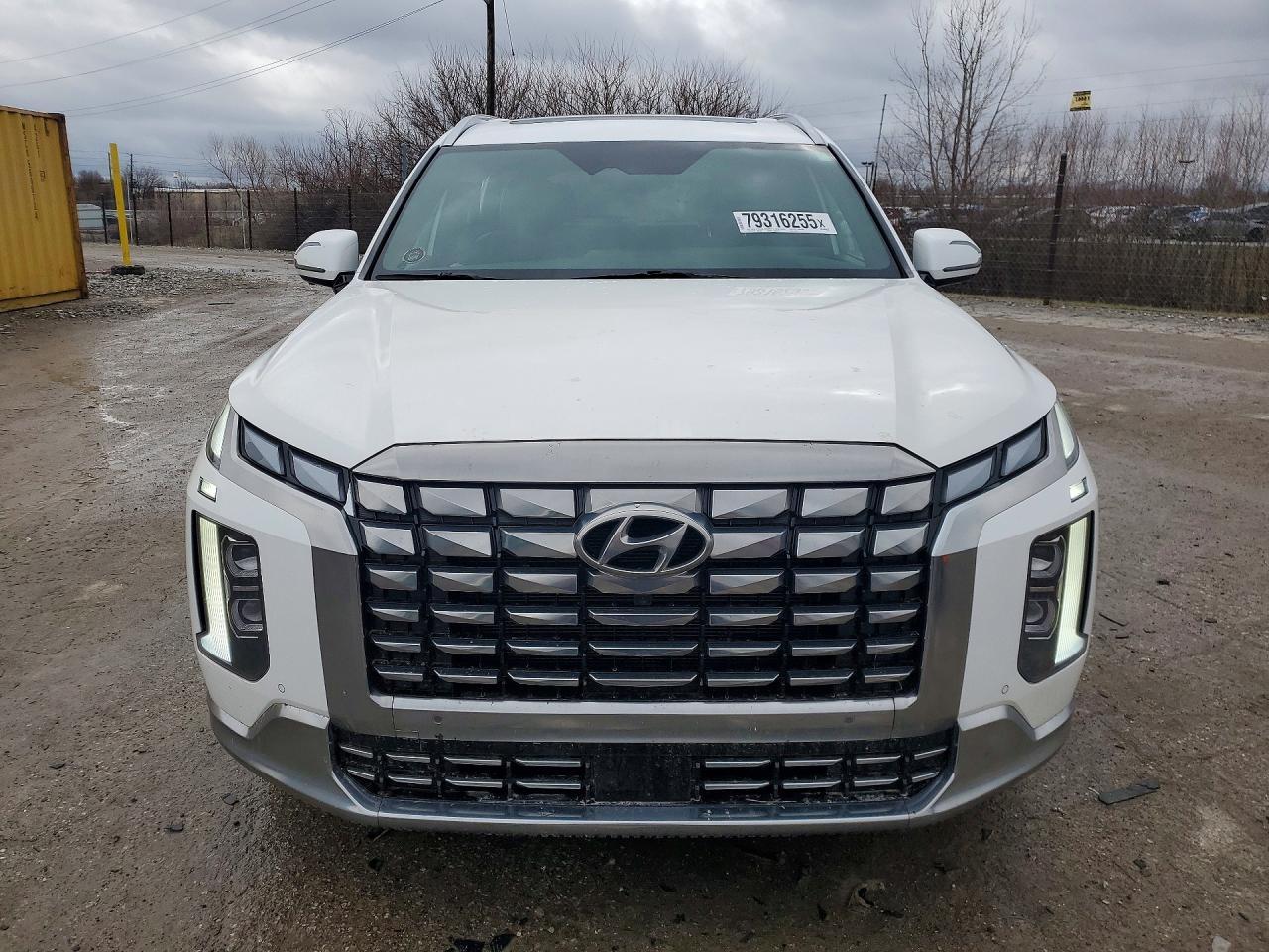 2024 Hyundai Palisade Calligraphy - Фото 5