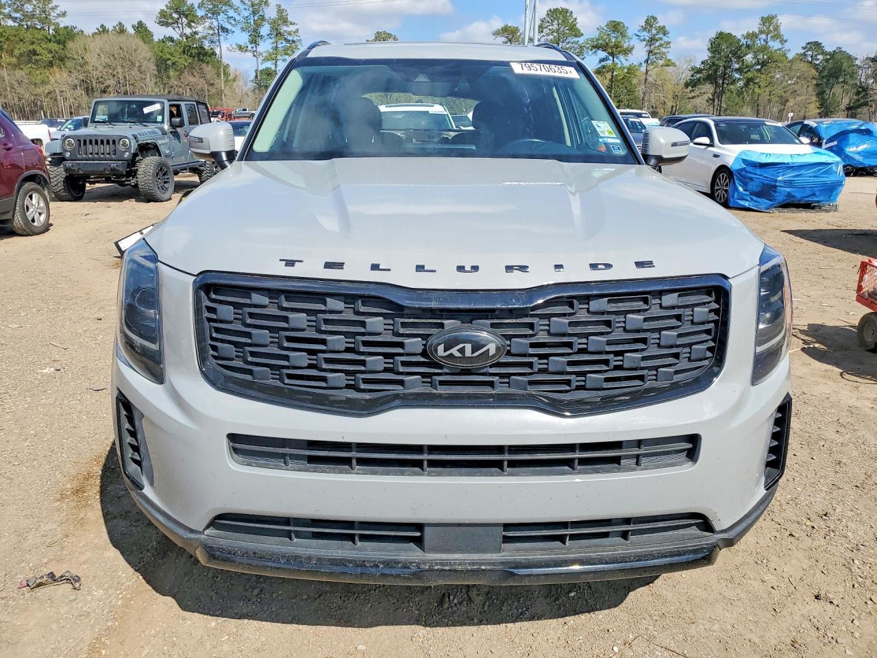 2021 Kia Telluride Ex - Фото 5