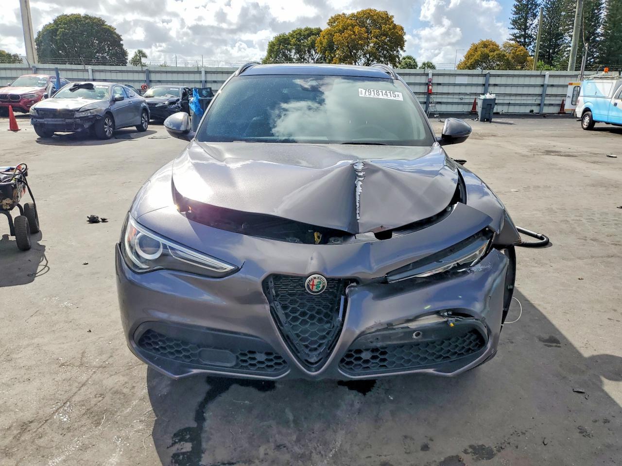 2019 Alfa Romeo Stelvio Ti - Фото 5