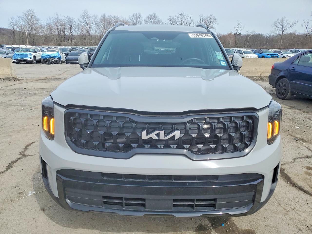 2024 Kia Telluride Ex X-Line - Фото 5