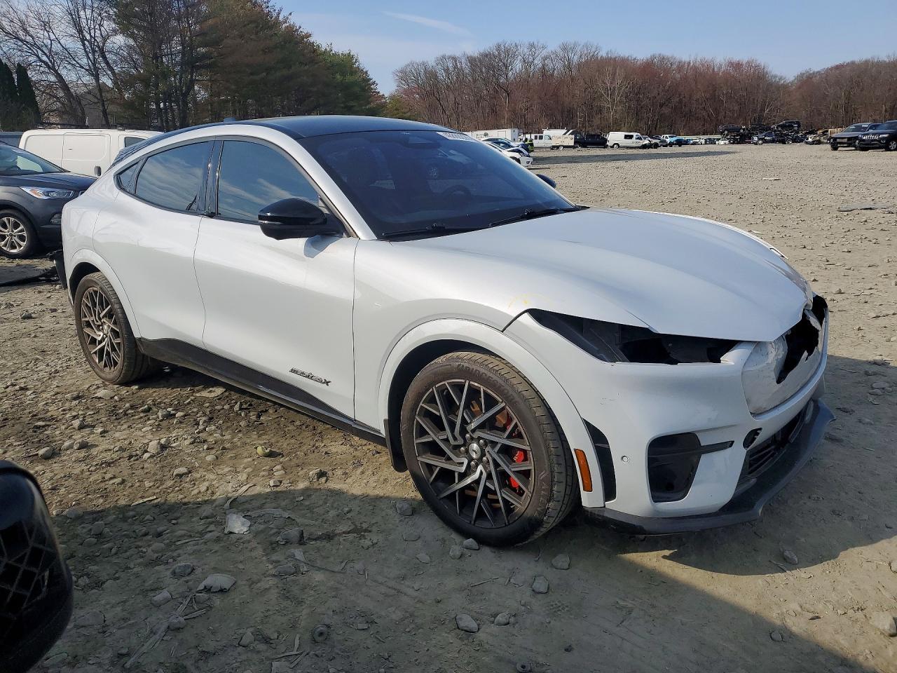 2021 Ford Mustang Mach-E Gt - Фото 4