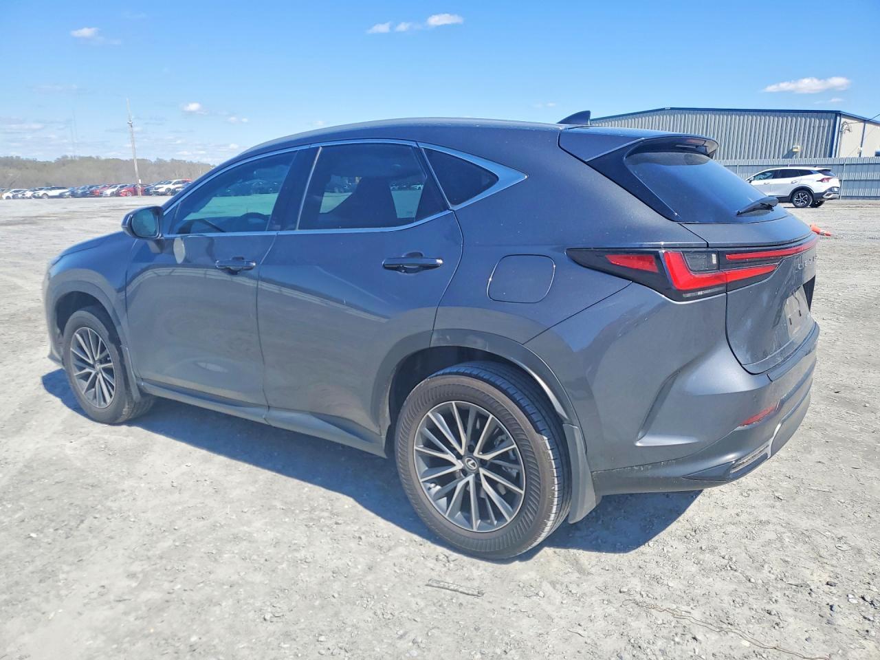 2025 Lexus Nx 250 Base - Фото 2