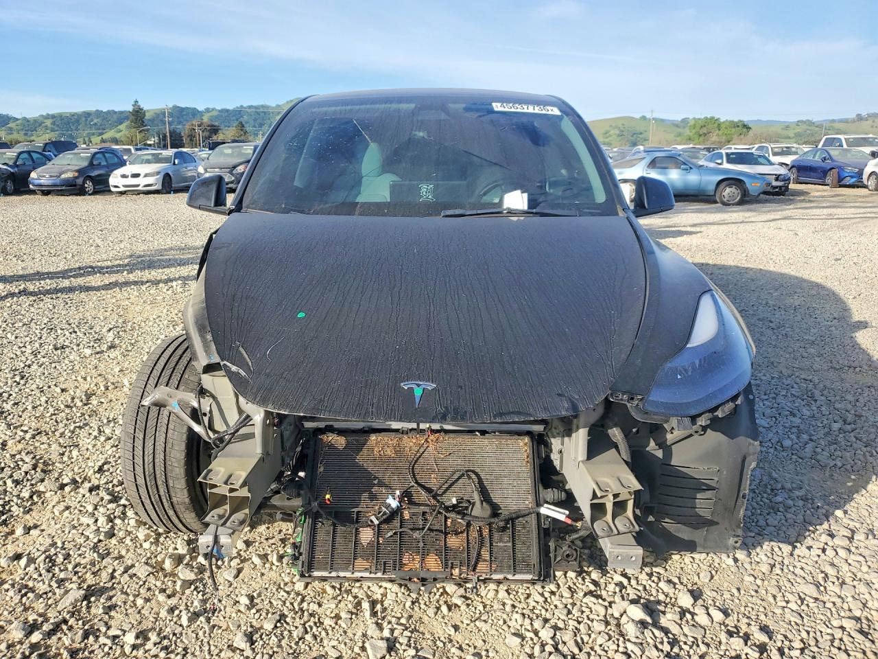 2023 Tesla Model Y - Image 5