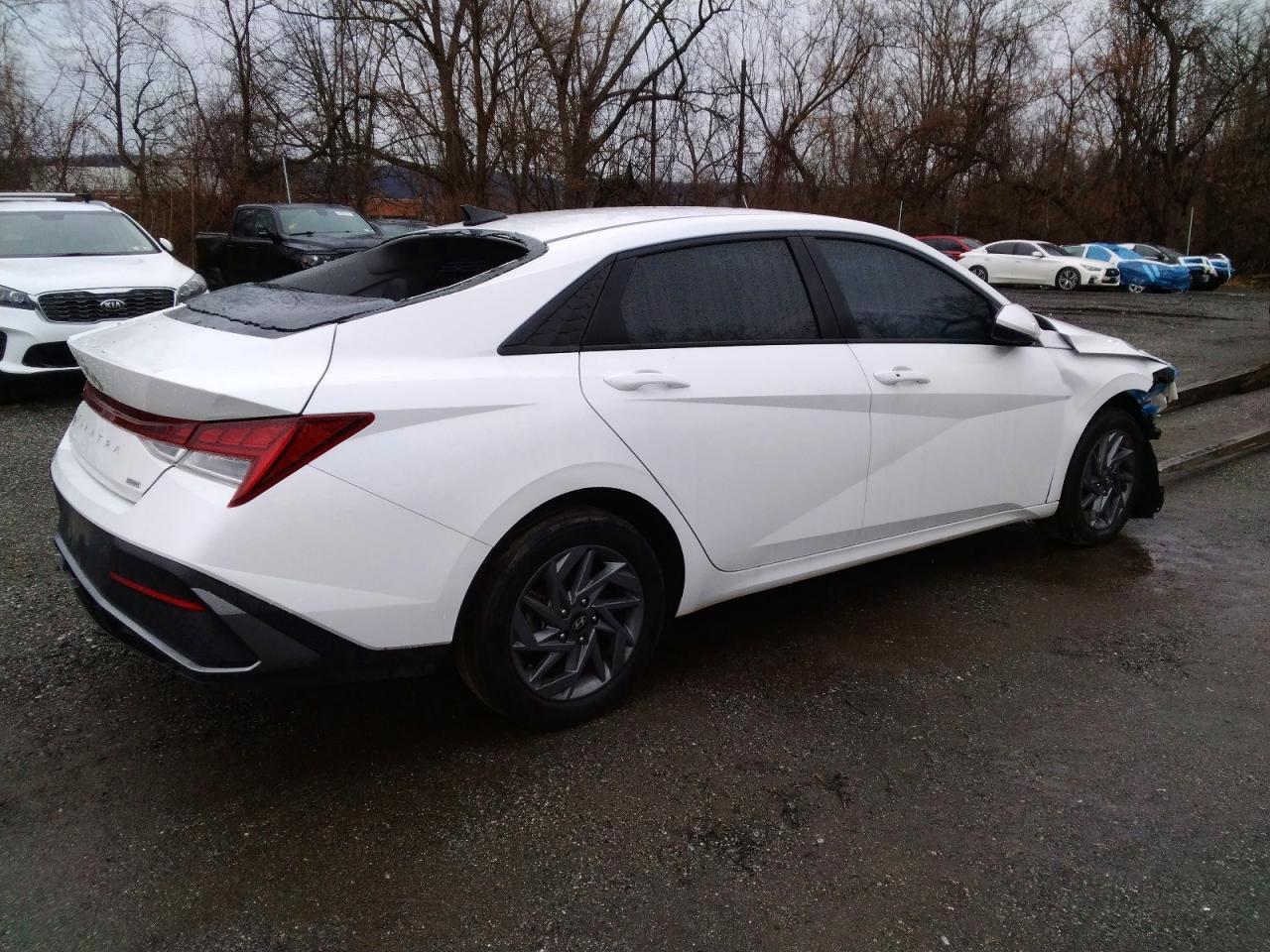 2024 Hyundai Elantra Hybrid Blue - Фото 3