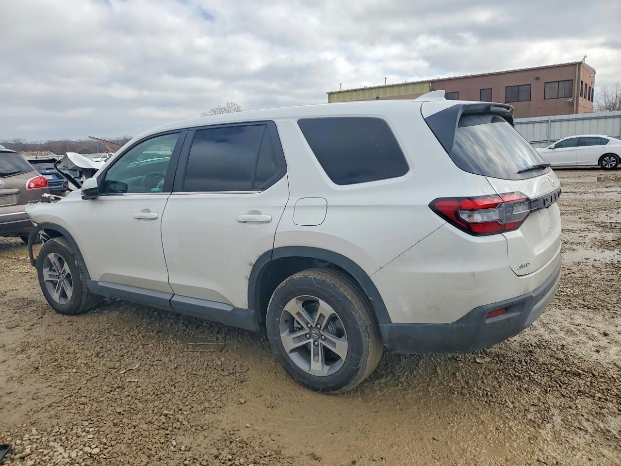 2025 Honda Pilot Exl - Фото 2