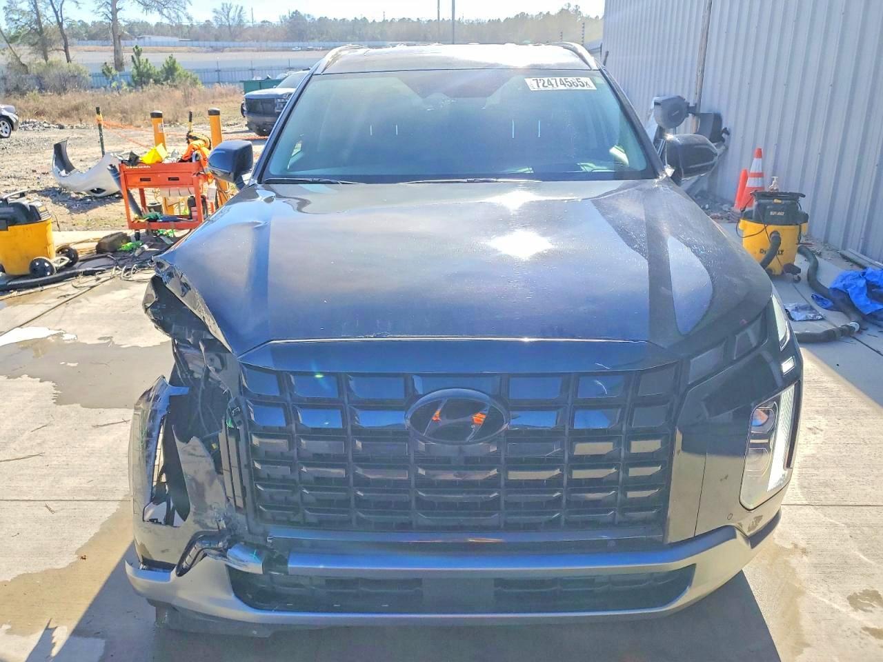 2024 Hyundai Palisade Limited - Фото 5