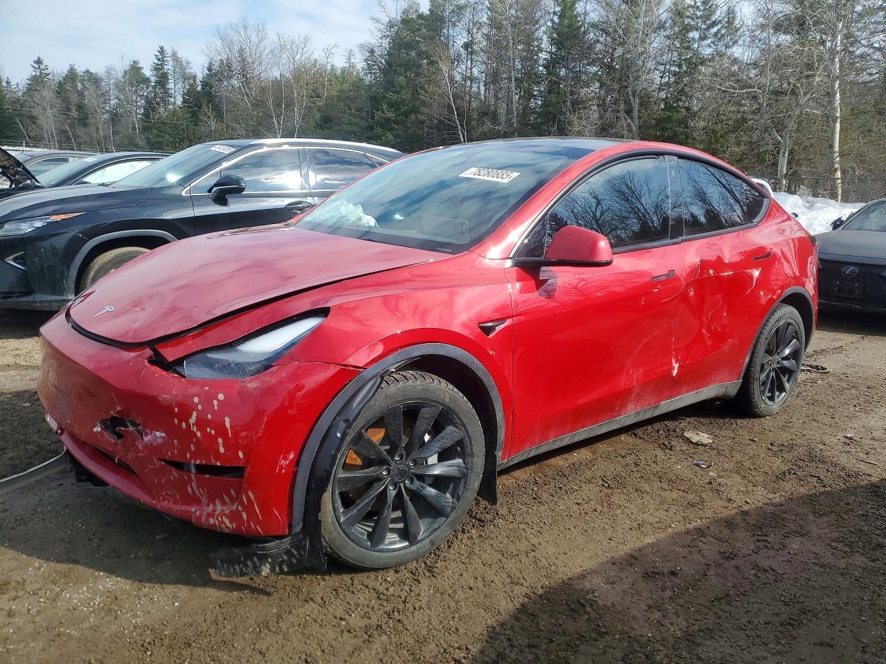 2023 Tesla Model Y