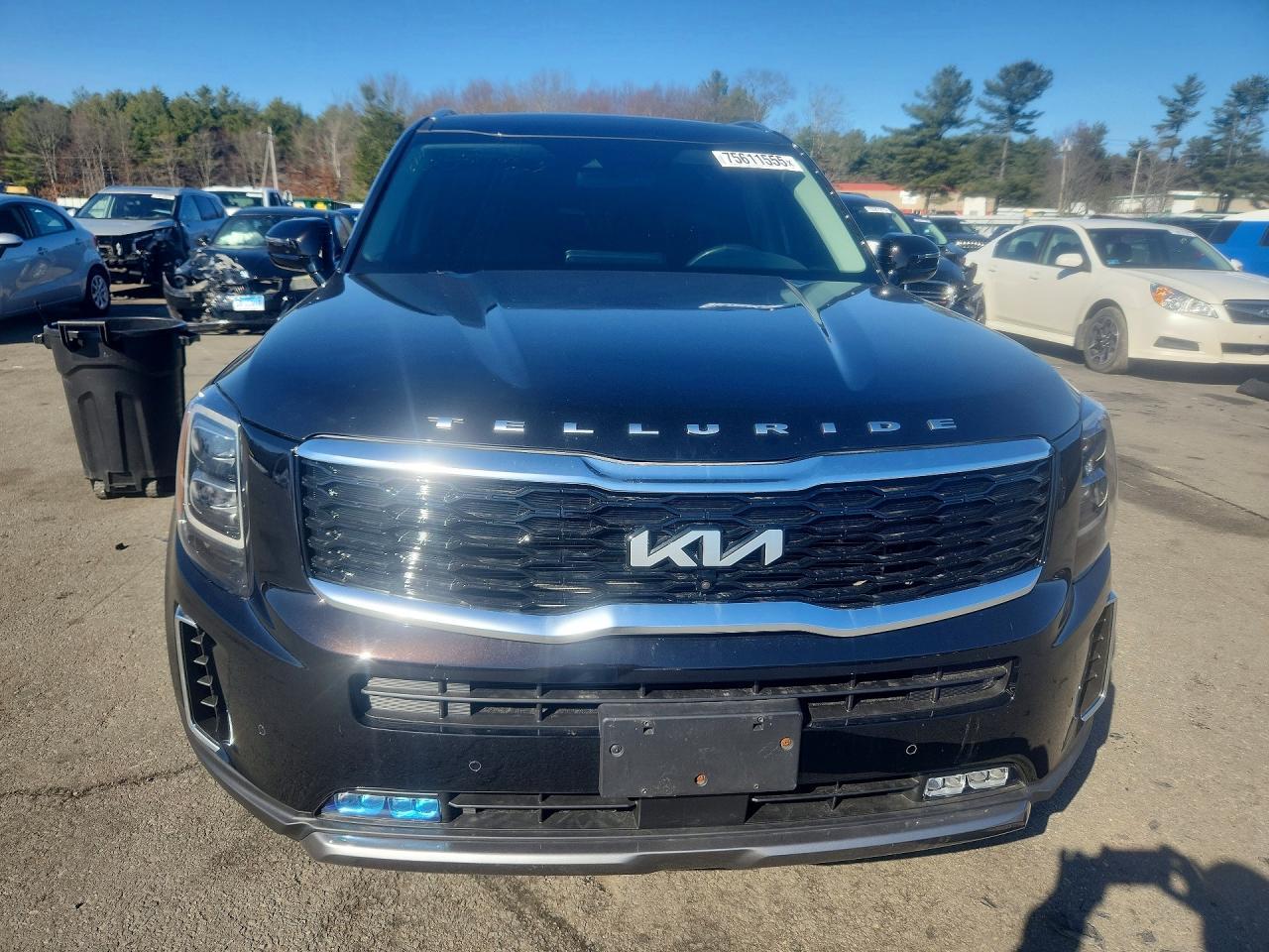 2022 Kia Telluride Sx - Фото 5