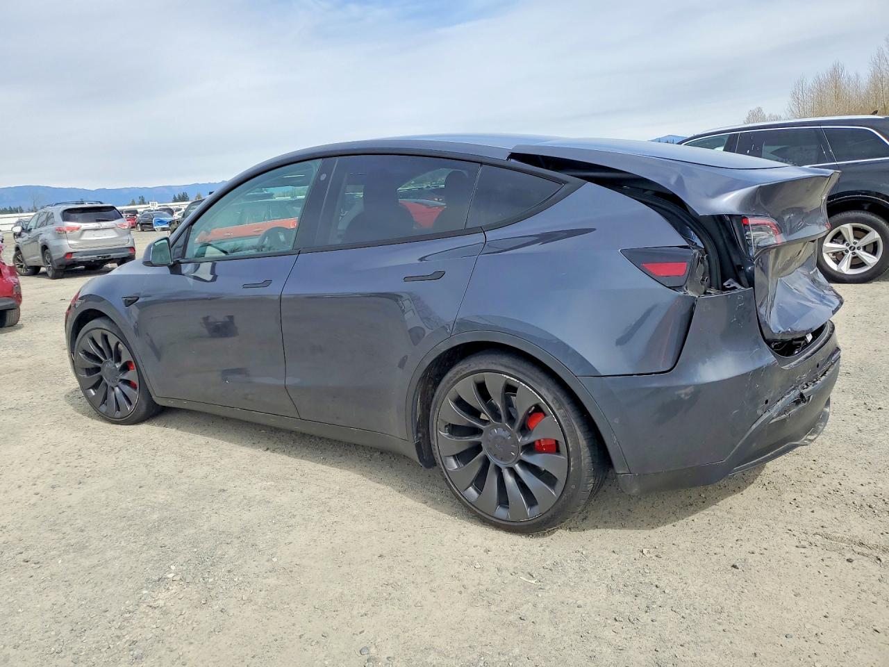2022 Tesla Model Y - Фото 2