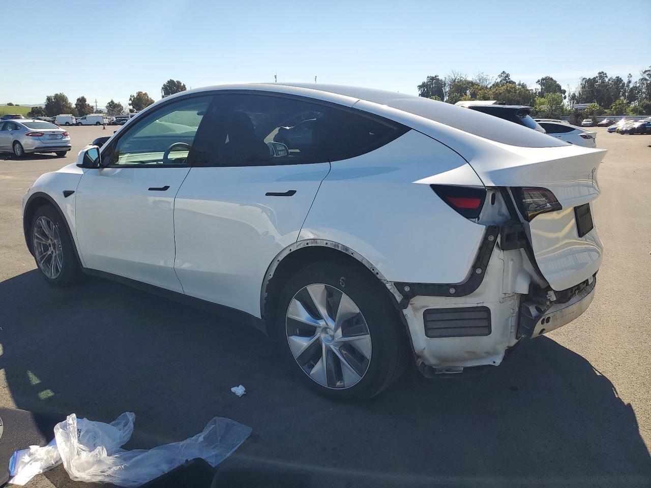 2023 Tesla Model Y - Фото 2
