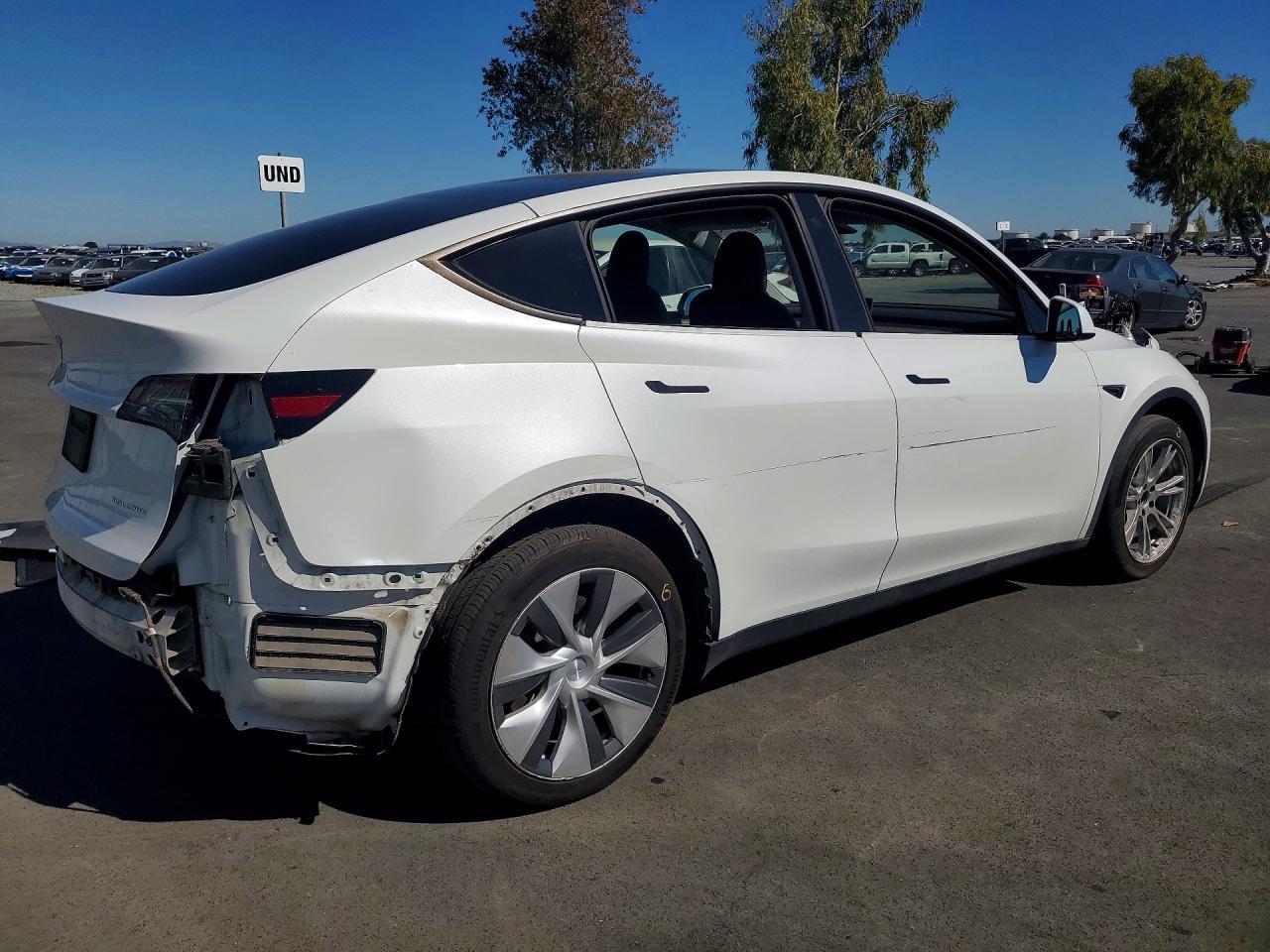 2023 Tesla Model Y - Фото 3
