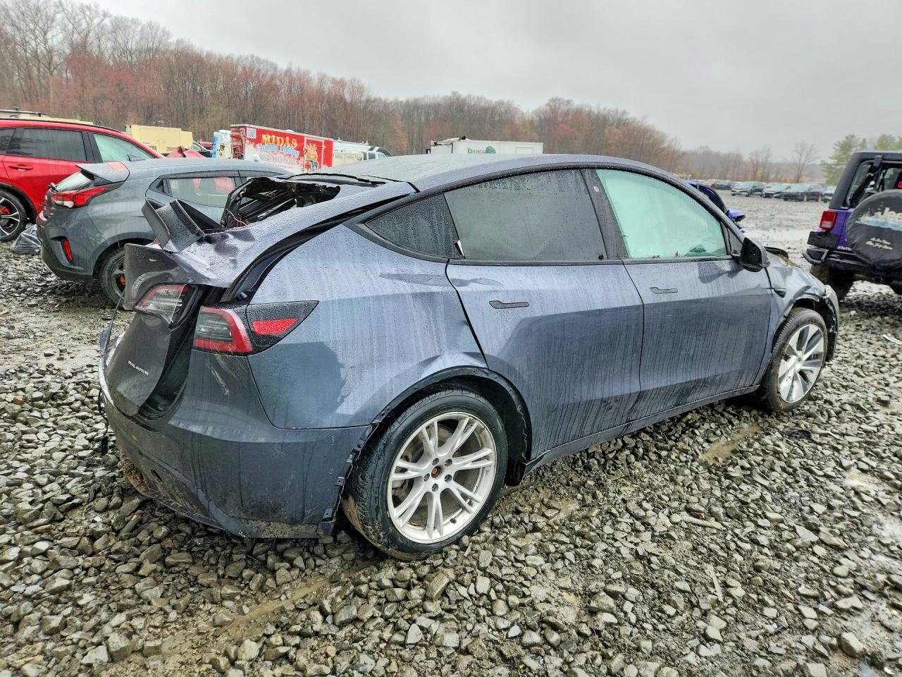 2020 Tesla Model Y - Фото 3