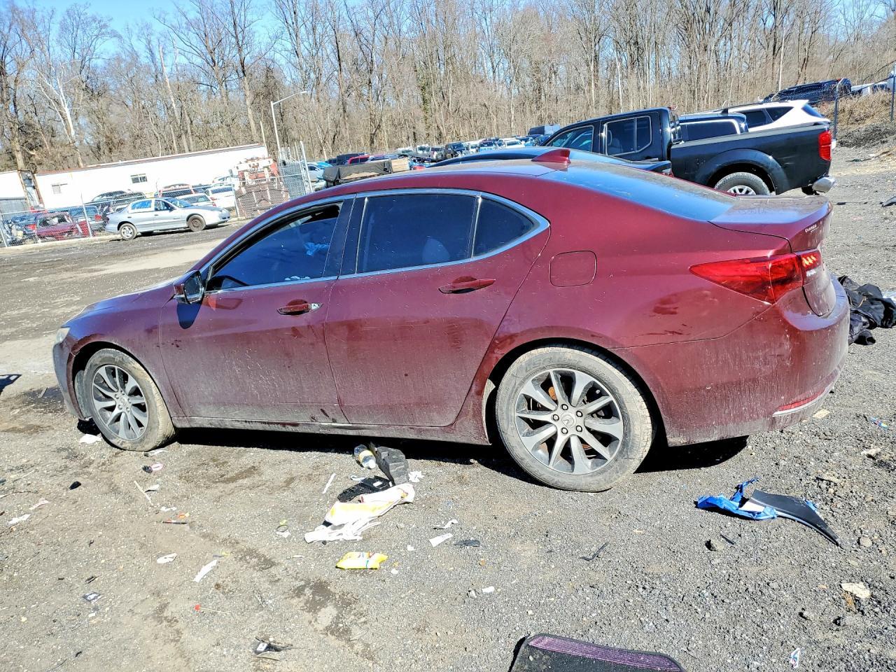 2015 Acura Tlx - Фото 2
