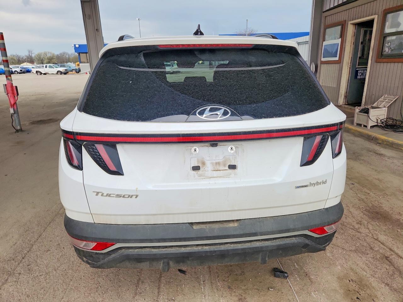 2024 Hyundai Tucson Hybrid Sel Convenience - Фото 6