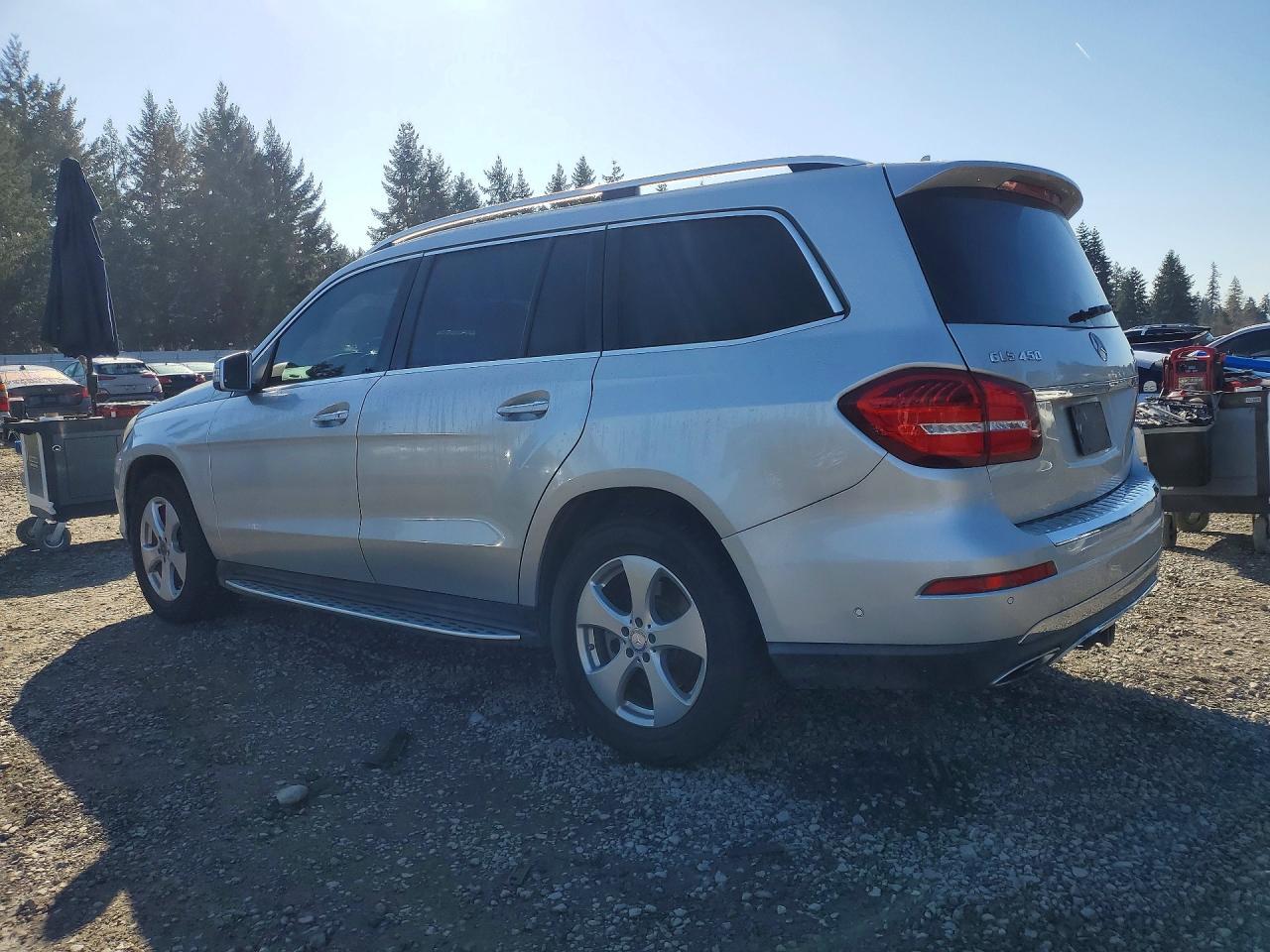 2017 Mercedes-Benz Gls 450 4Matic - Фото 2