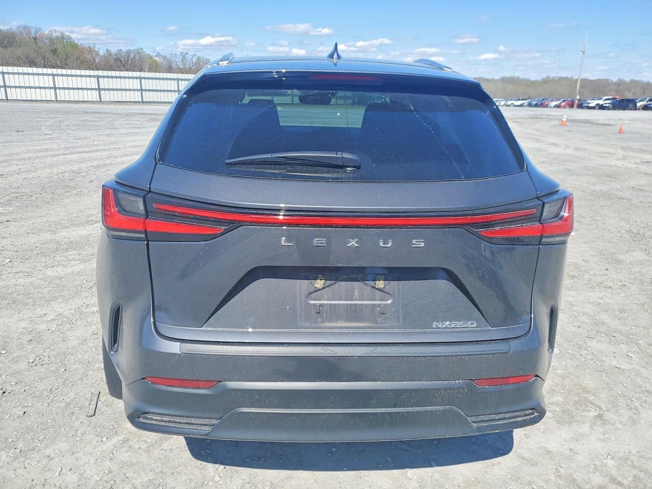 2025 Lexus Nx 250 Base - Фото 6
