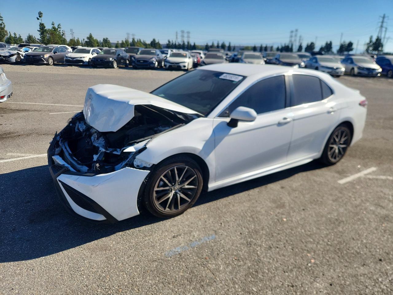 2022 Toyota Camry Se