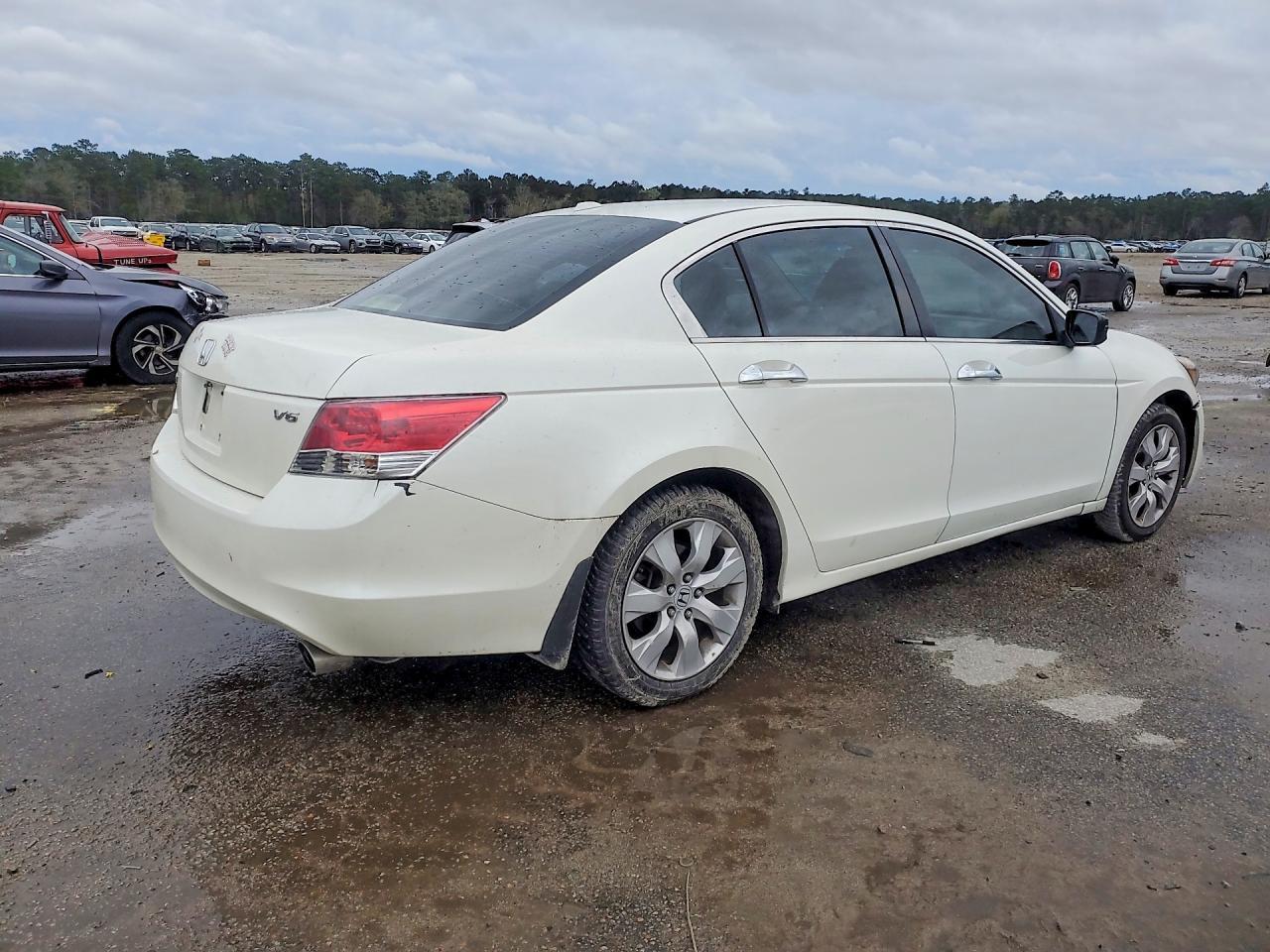2009 Honda Accord Exl - Фото 3
