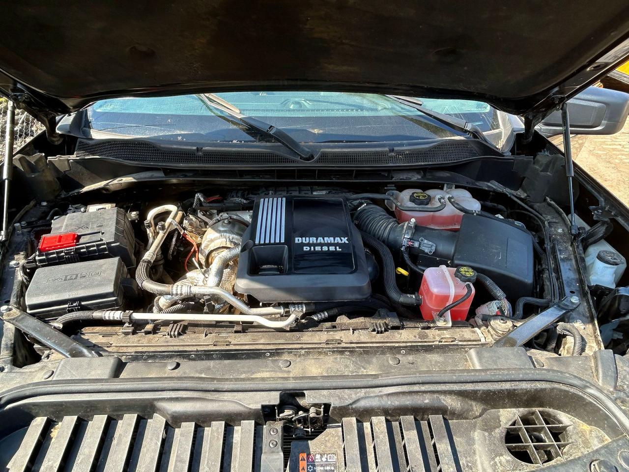 2024 Chevrolet Silverado K1500 Trail Boss Custom - Фото 7