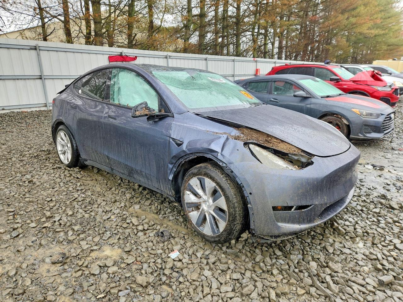 2020 Tesla Model Y - Фото 4