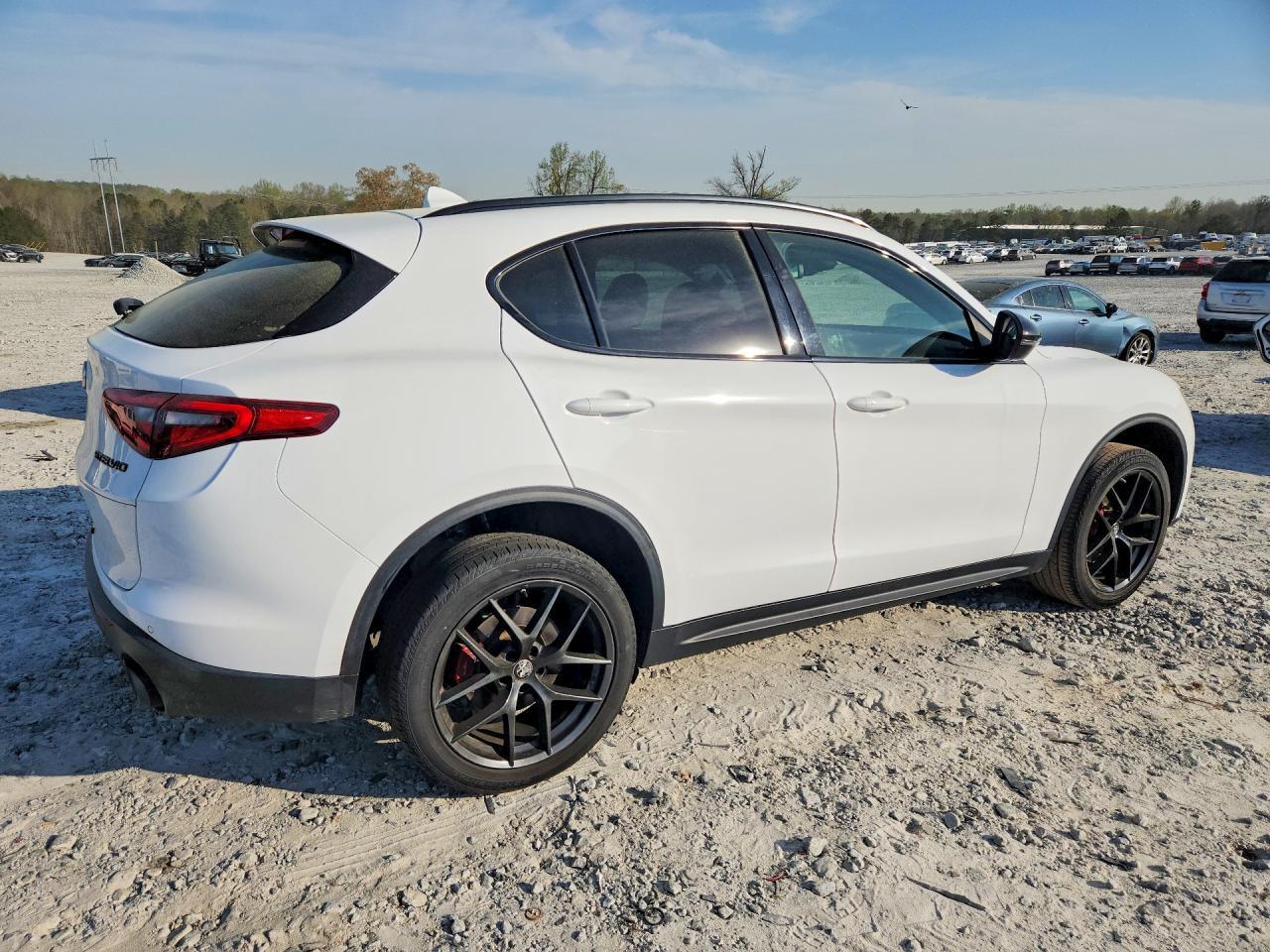 2020 Alfa Romeo Stelvio - Фото 3