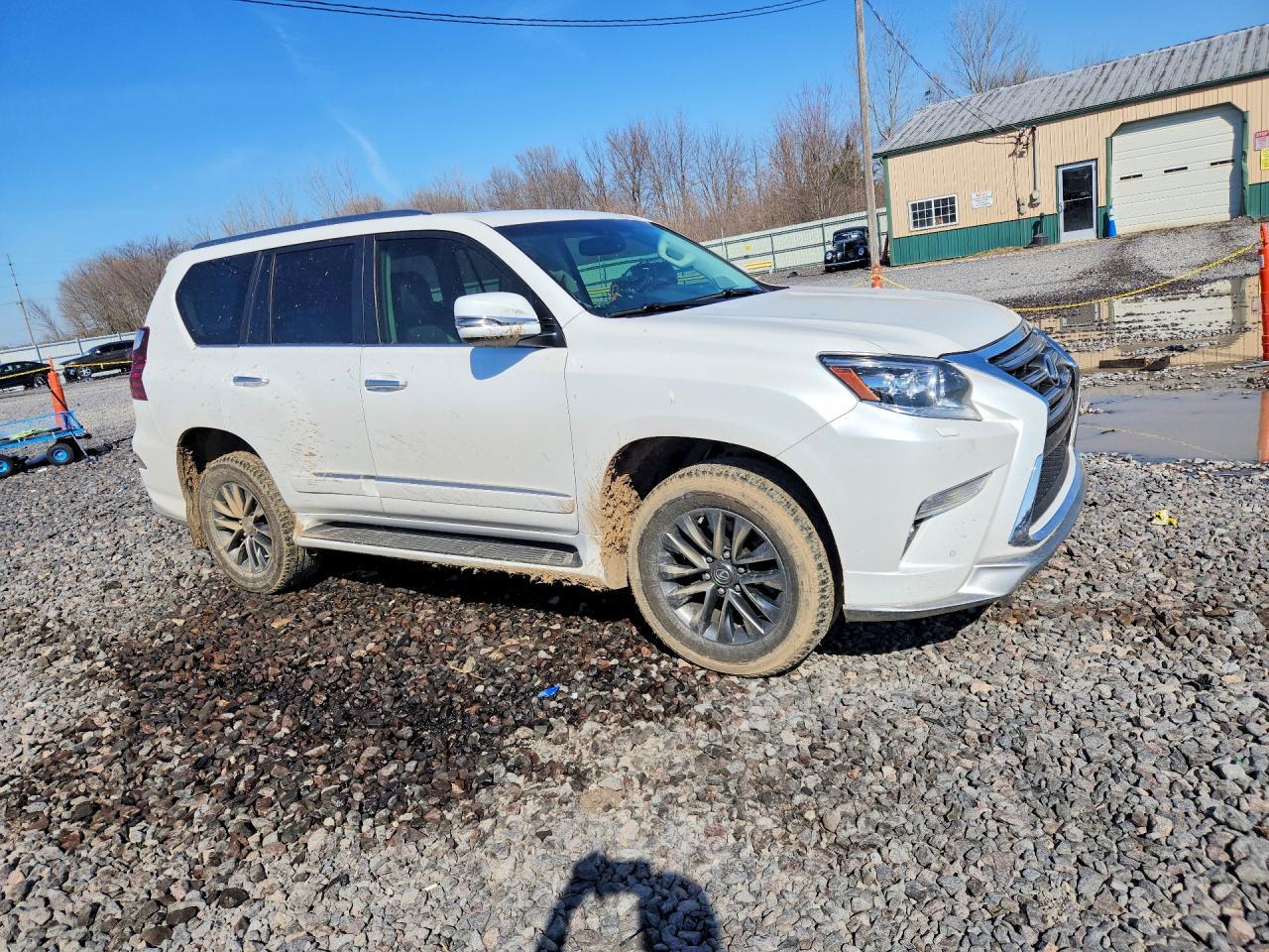 2018 Lexus Gx 460 - Фото 4