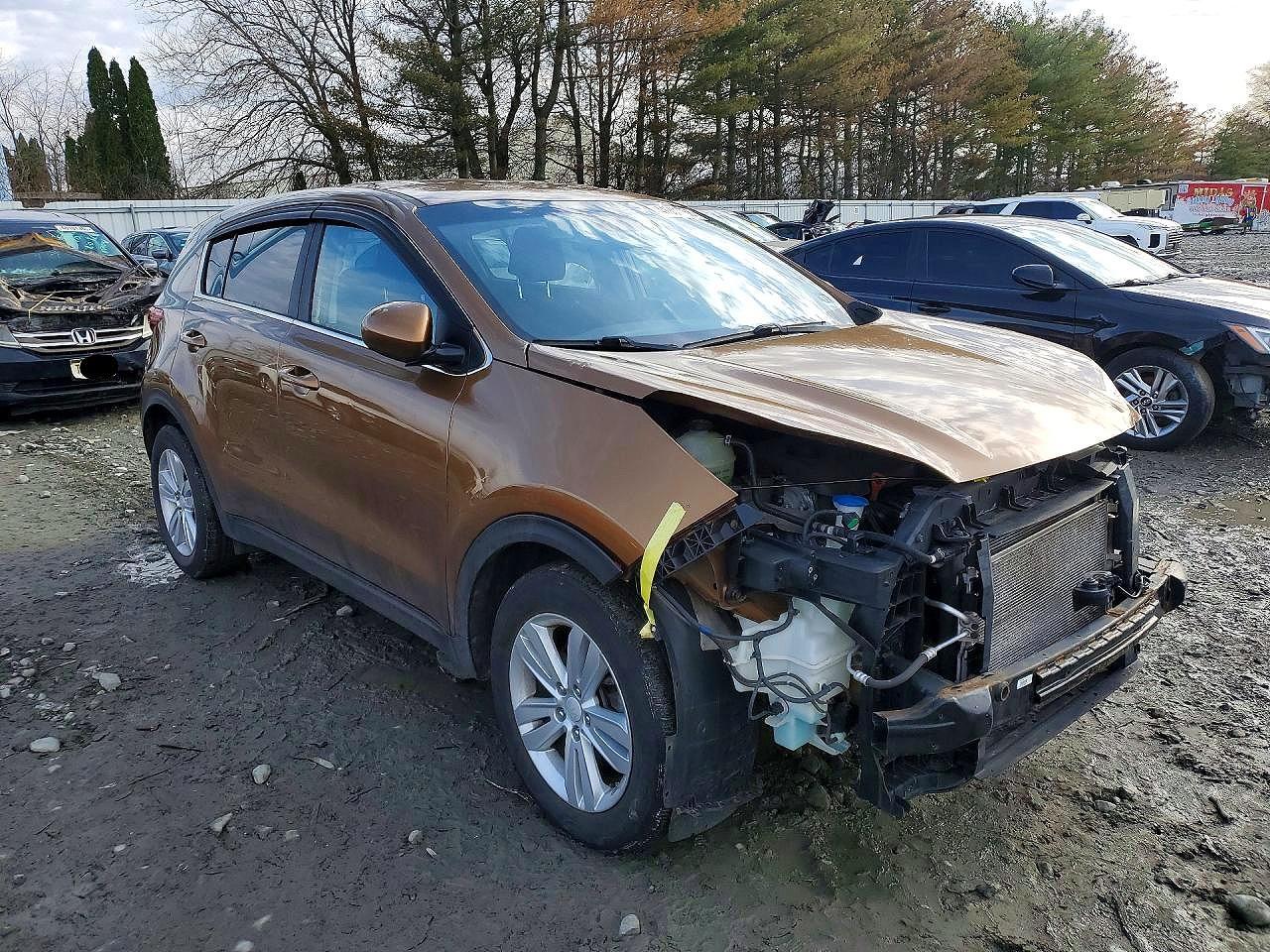 2017 Kia Sportage Lx - Фото 4
